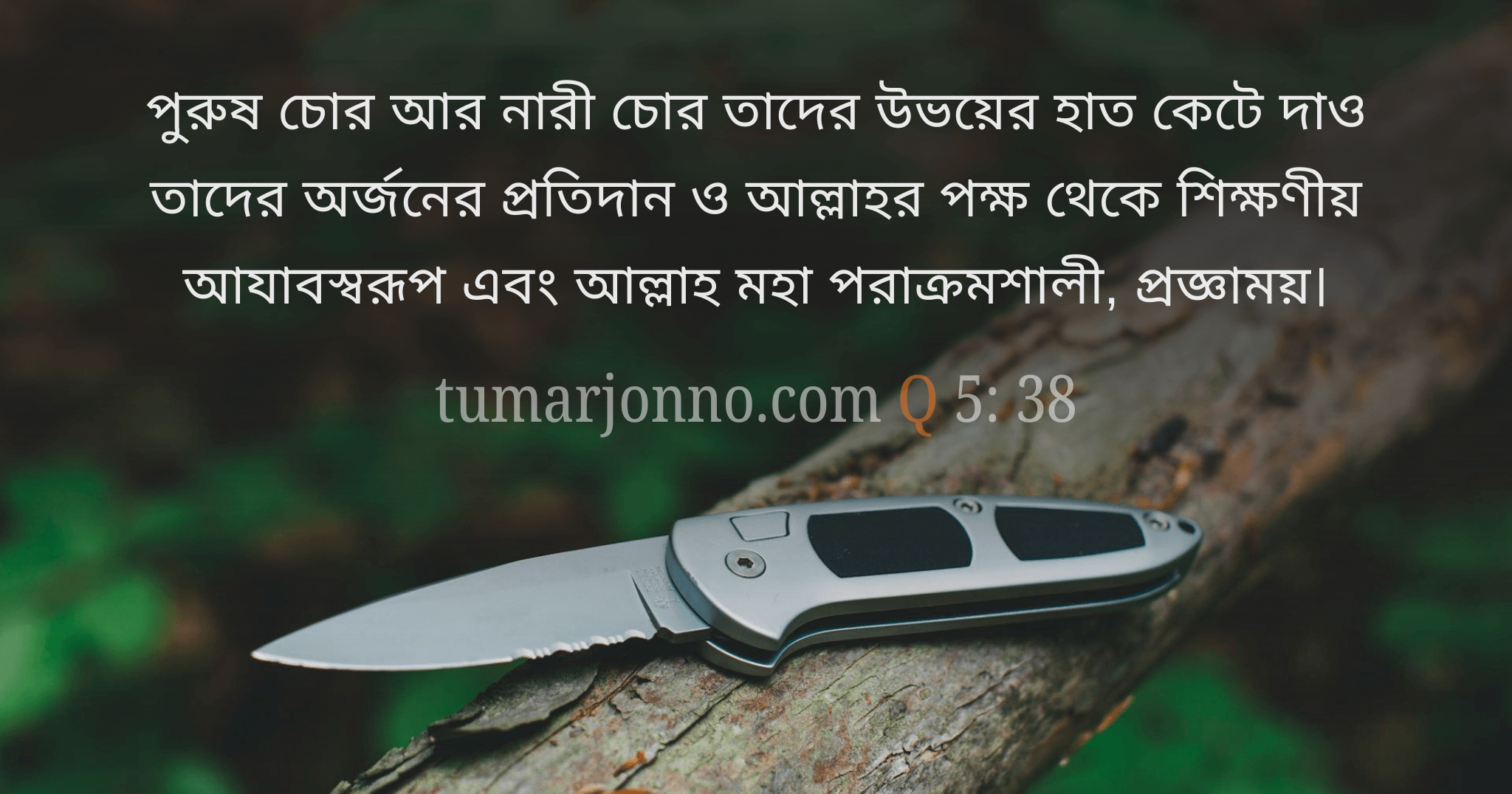 তাদের হাত কেটে দাও।