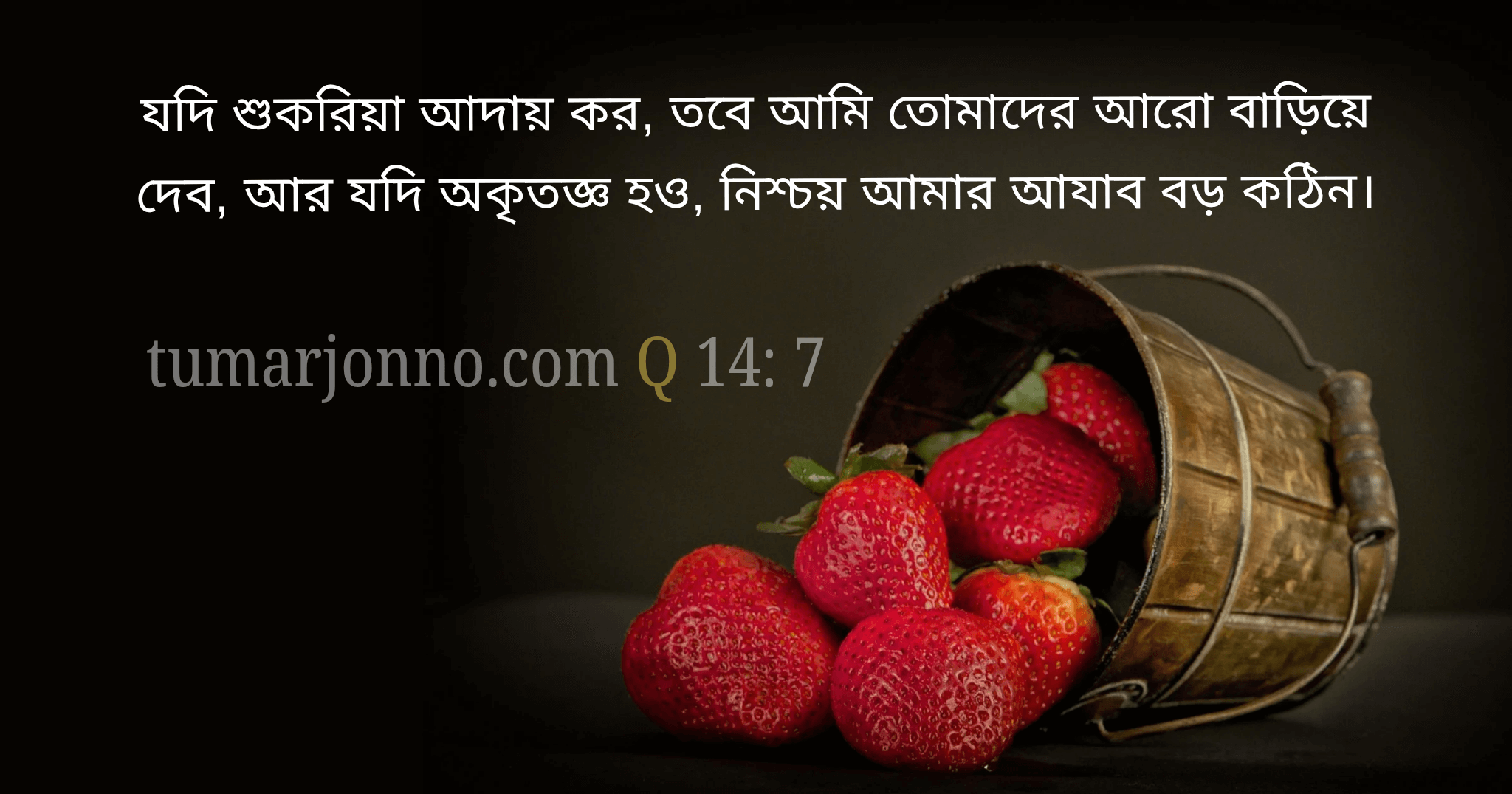 যদি কৃতজ্ঞতা স্বীকার কর।