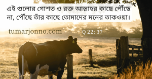 তোমাদেরকে বশ করে দিয়েছেন।