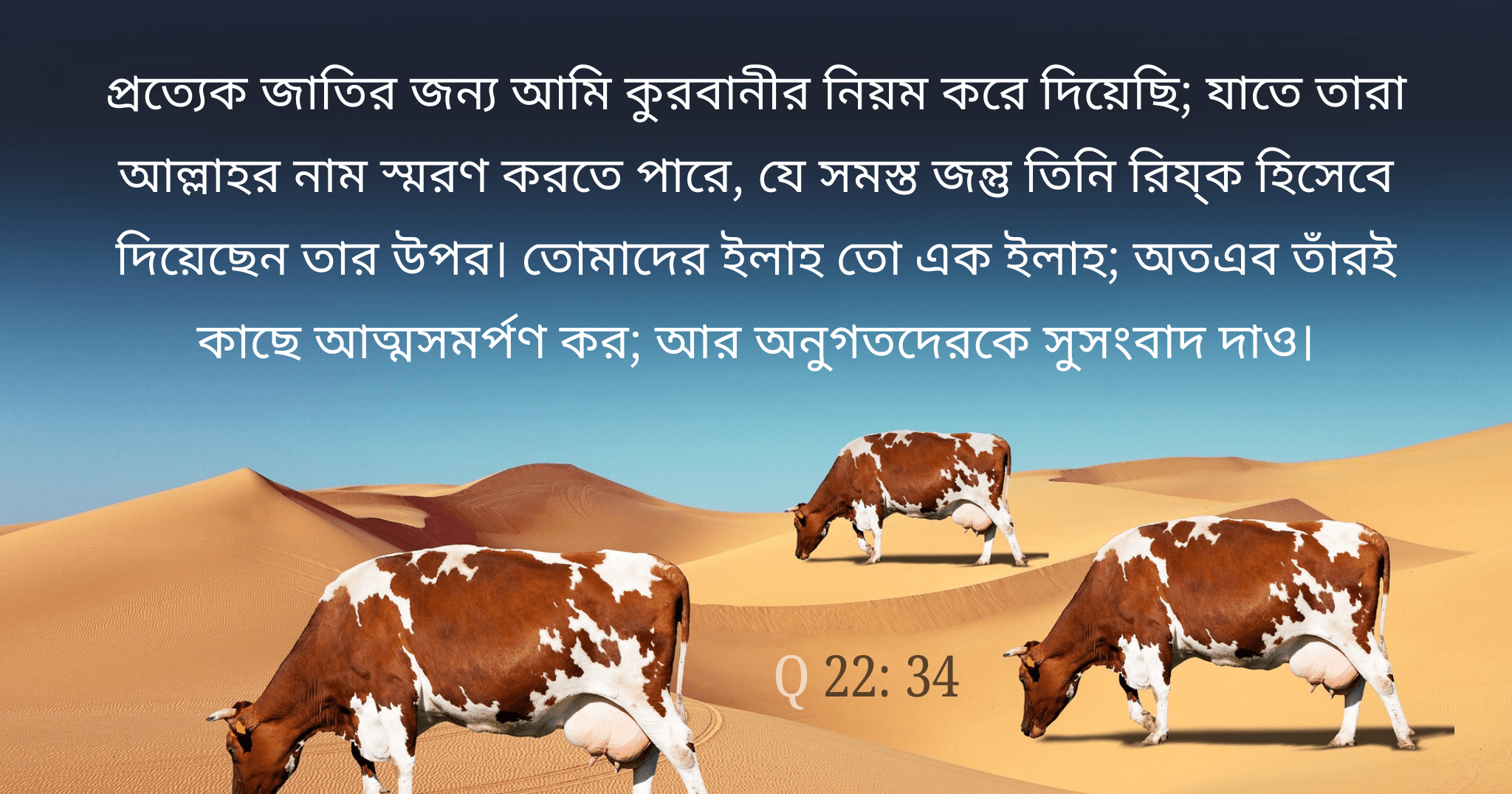 আমি কোরবানী নির্ধারণ করেছি।