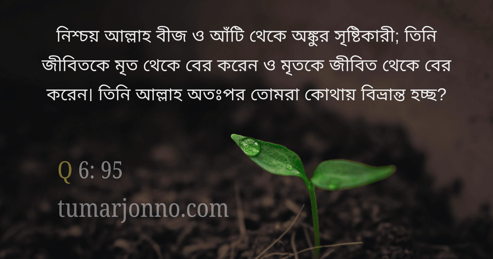 নিশ্চয় আল্লাহই অঙ্কুর সৃষ্টিকারী।