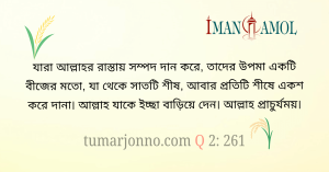 উদাহরণ একটি বীজের মত।