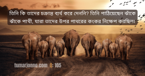 ঝাঁকে ঝাঁকে পাখী।