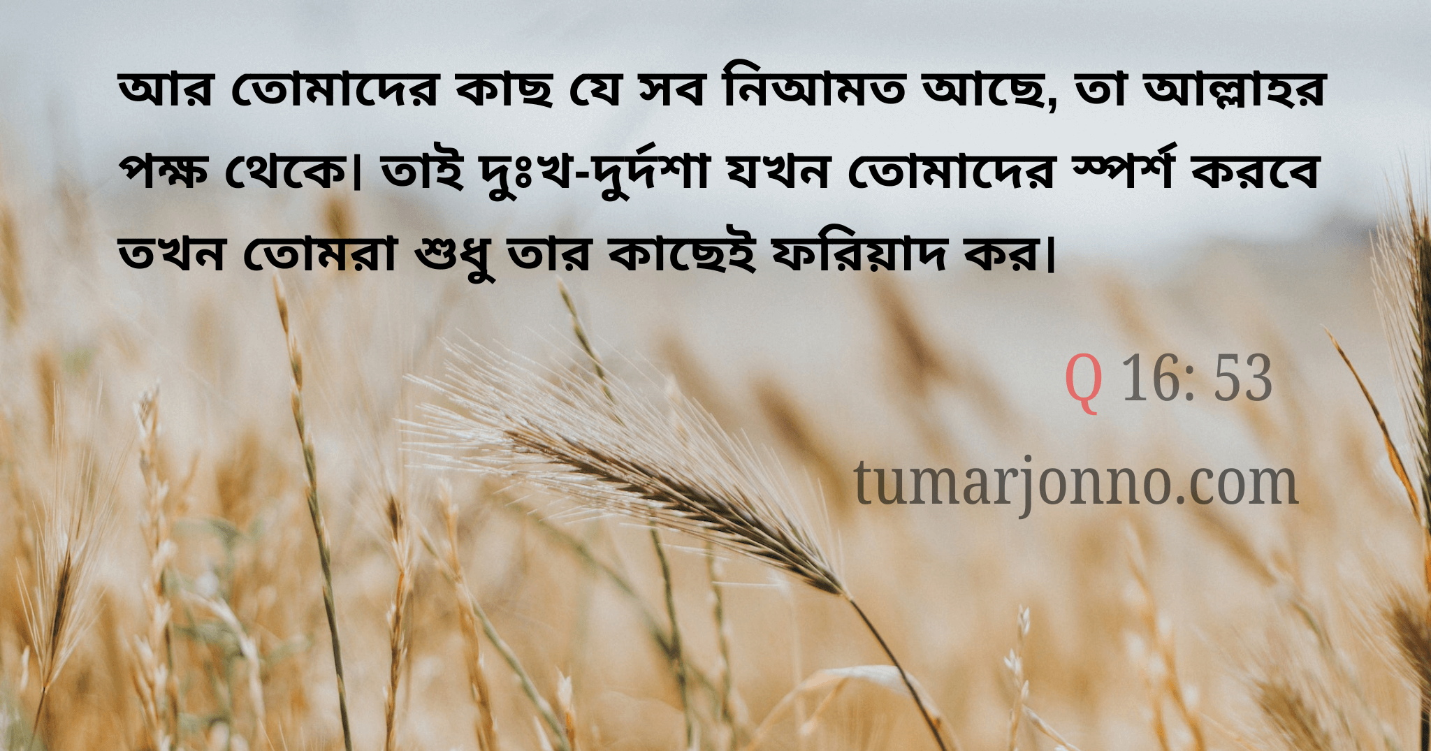 তাঁরই নিকট কান্নাকাটি কর।
