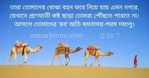 তোমাদের প্রভু অত্যন্ত স্নেহশীল।