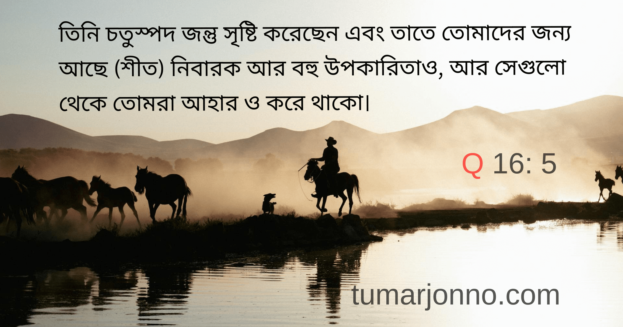 তিনি সৃষ্টি করেছেন।