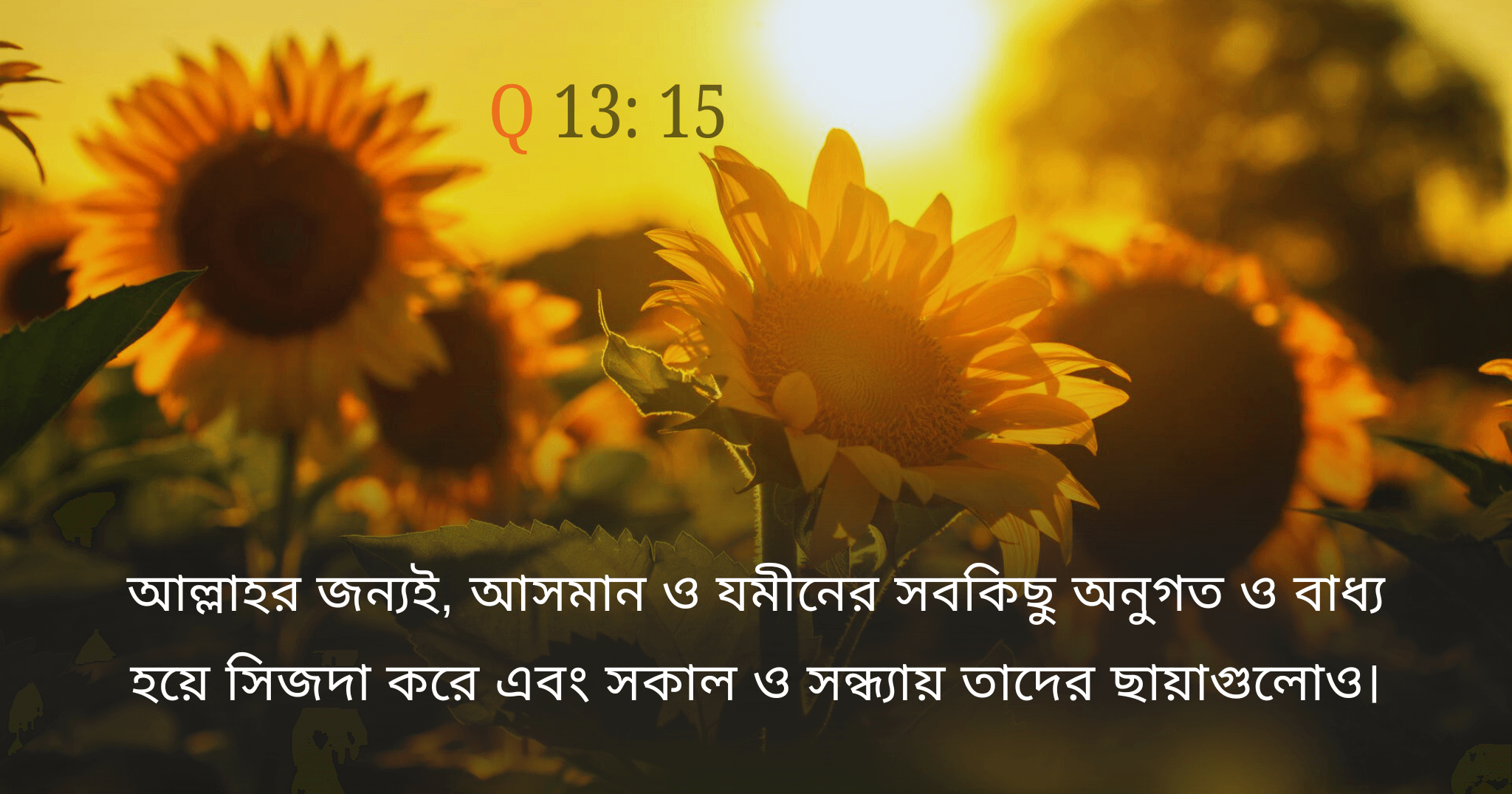 আল্লাহকে সেজদা করে।