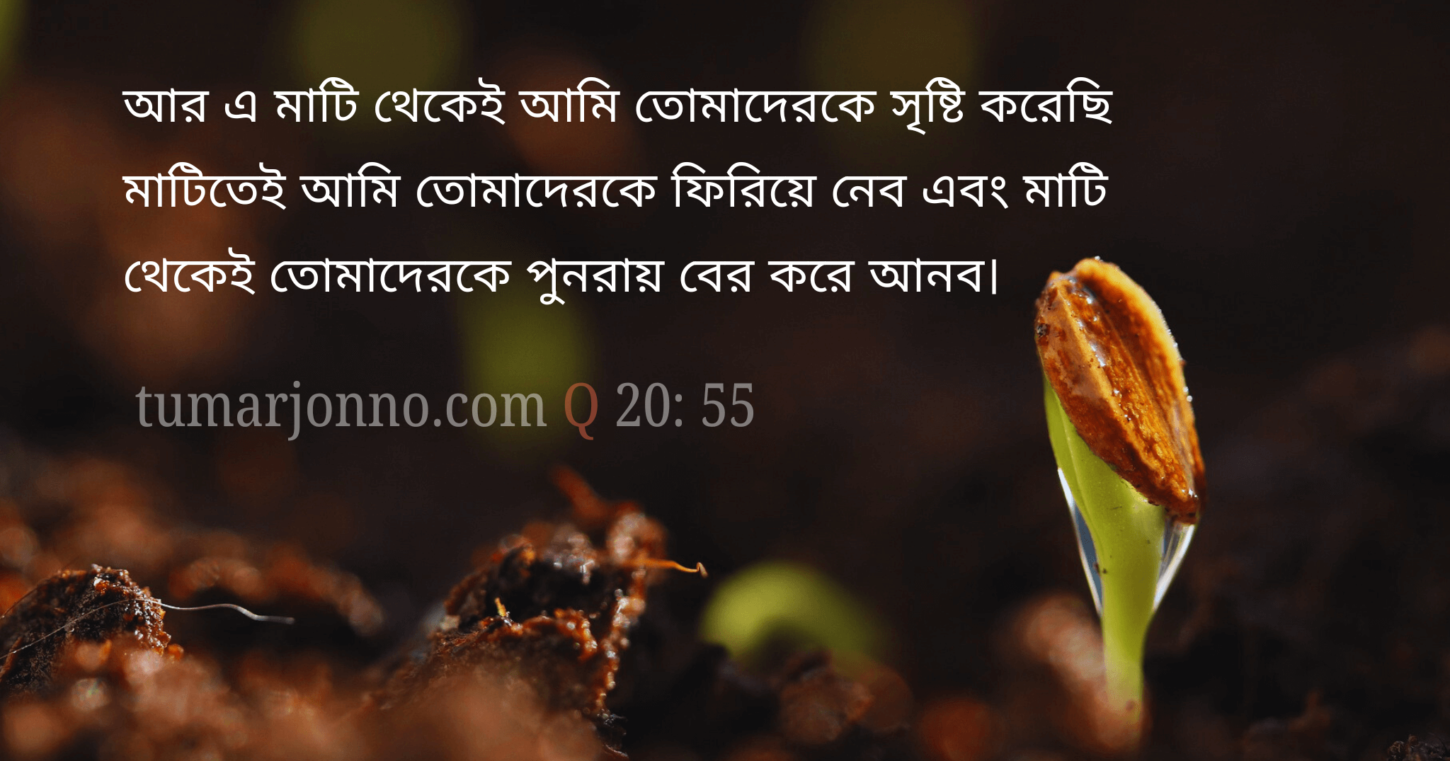 মাটি থেকেই তোমাদেরকে সৃজন করেছি।