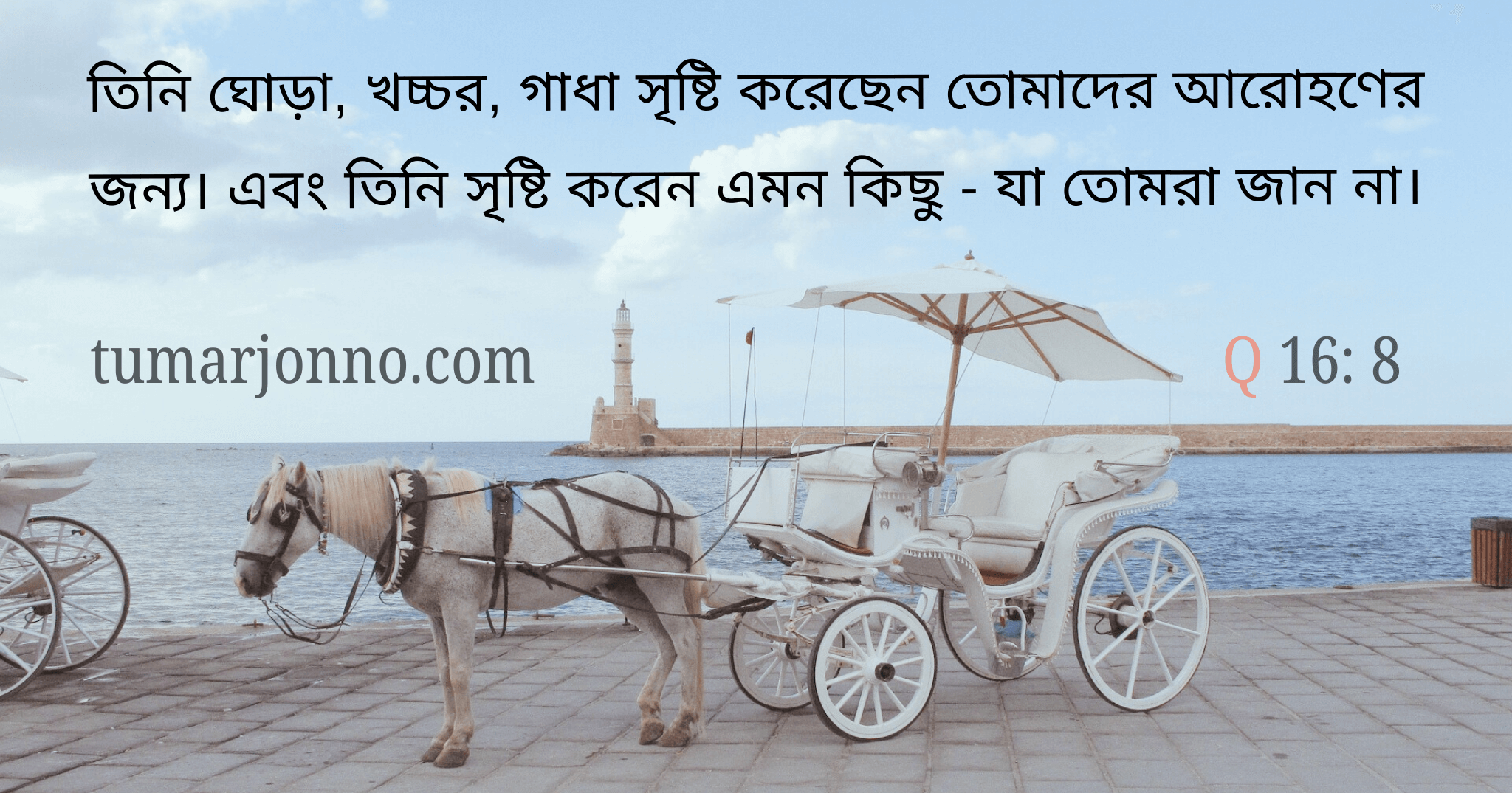 যা তোমরা জান না।