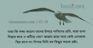 তাদের মাথার উপর উড়ন্ত পক্ষীকুল।