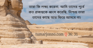 তারা আর ফিরে আসবে না।