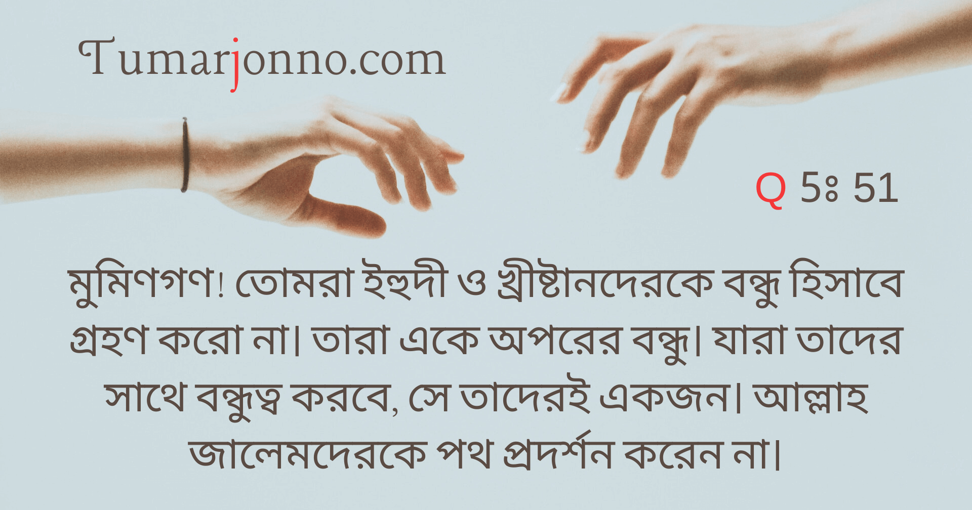 তারা একে অপরের বন্ধু।